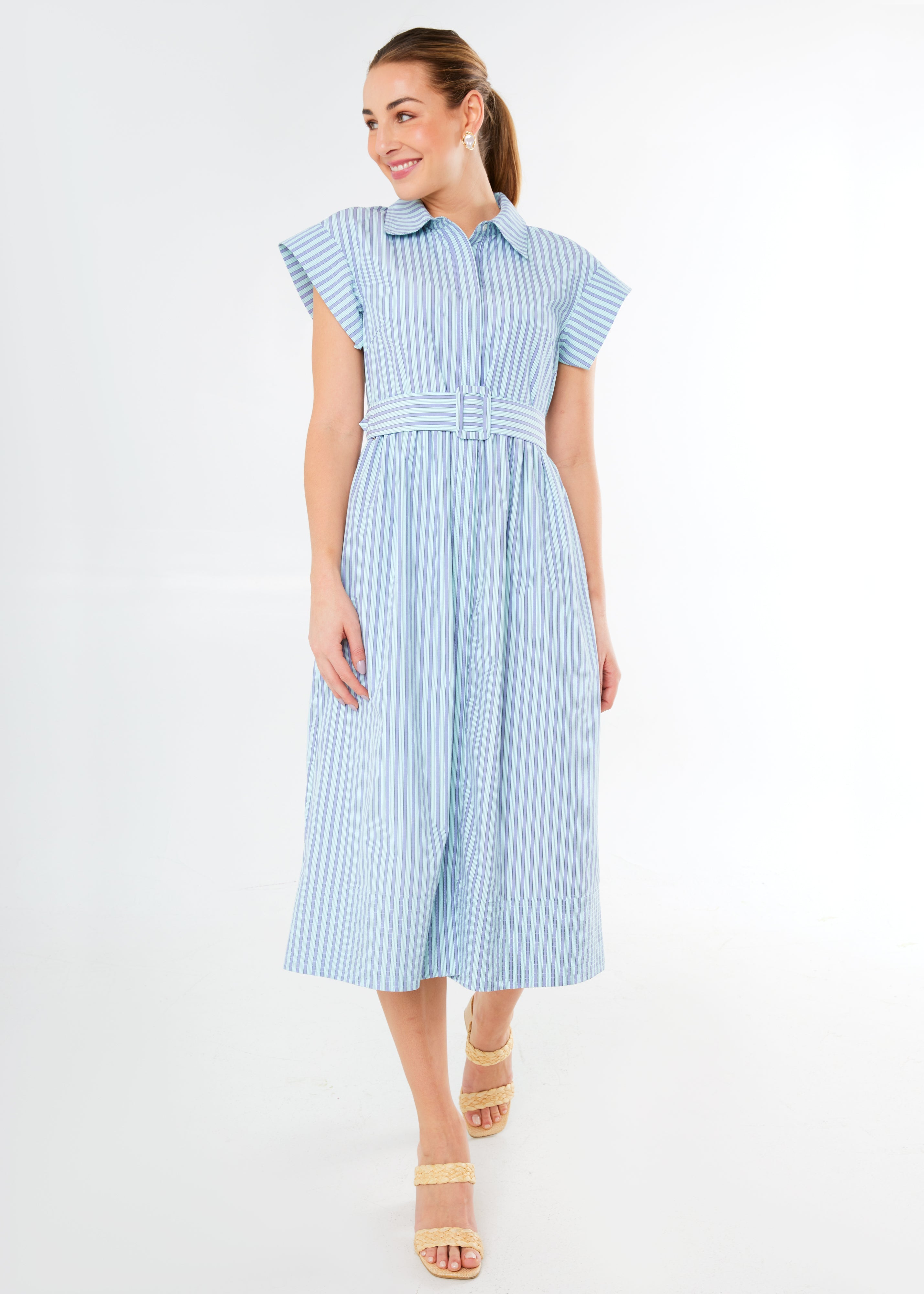 Harper Dress Periwinkle Stripe Cotton